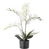 Bloomingville Künstliche Orchidee, Kunstblume