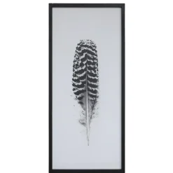 Chic Antique Bild mit Federnmotiv und schwarzem Rahmen
