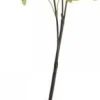 Chic Antique Fleur Echter Schneeball lime