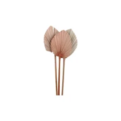 Chic Antique Fleur getrocknetes Palmenblatt