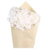 Chic Antique Fleur getrocknete Hortensie Blume