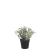 Chic Antique Fleur künstliche Pflanze Jojoba