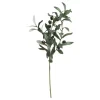 Chic Antique Fleur Olivenzweig