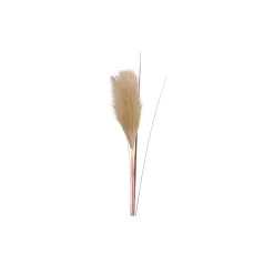 Chic Antique Fleur Pampasgras Wedel