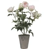 Chic Antique Fleur Rosenstrauch im Keramiktopf