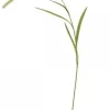Chic Antique Fleur Stroh