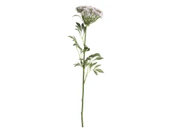 Chic Antique Fleur Wilde Möhre